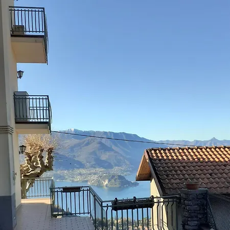 Butterfly Apartment *